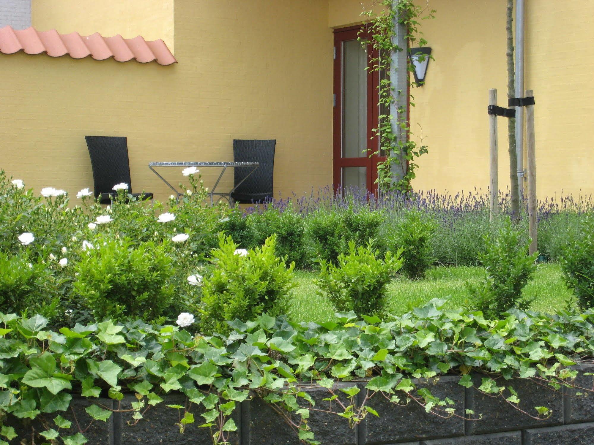 Hotel Borgmestergaarden Middelfart Exterior photo